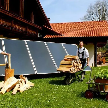 Alpenstern Guest house *