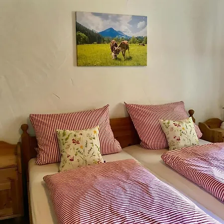 Alpenstern Guest house *