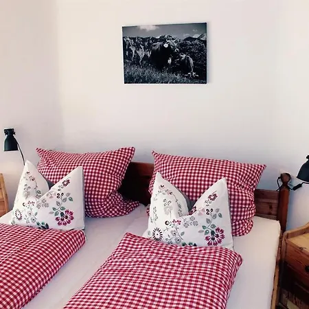 Alpenstern Guest house *